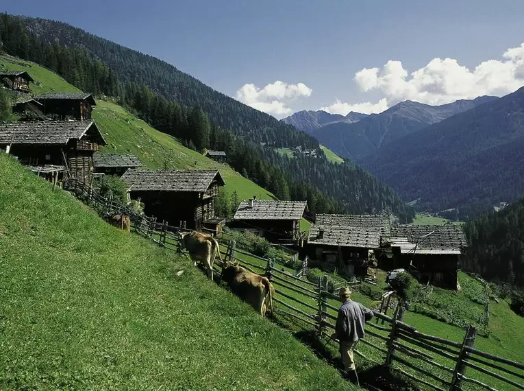 Meran gemütlich erwandern