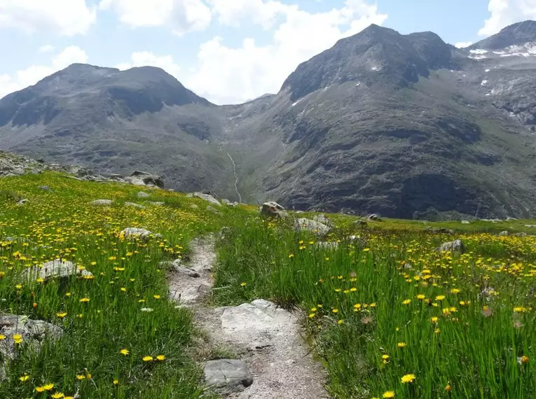 Überquerung der Alpen von Kitzbühel ins Ahrntal 