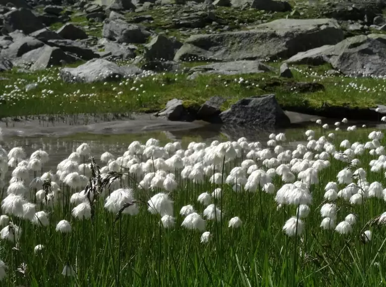 Überquerung der Alpen von Kitzbühel ins Ahrntal 