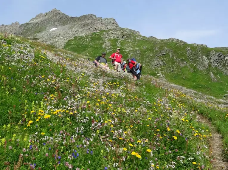 Überquerung der Alpen von Kitzbühel ins Ahrntal 