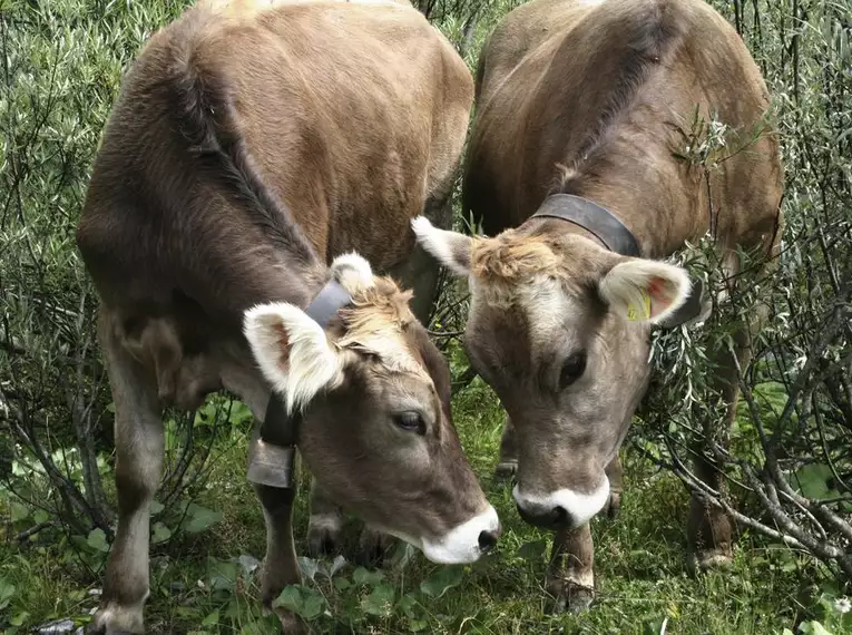 Wandern in den Hohen Tauern