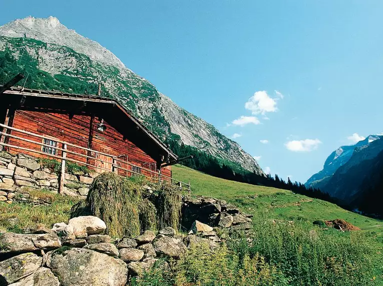 Naturerlebnis Wandern in den Salzburger Kalkalpen