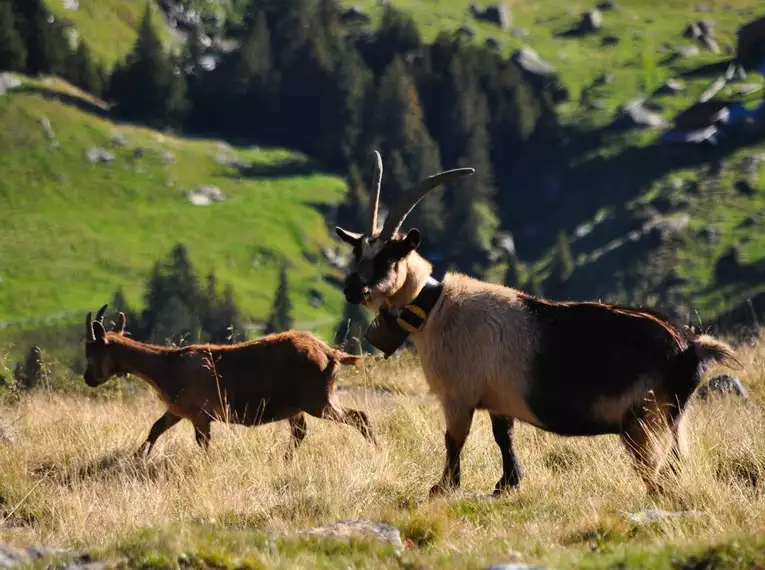 Individuelle Alpenüberquerung Oberstdorf-Meran auf dem E5