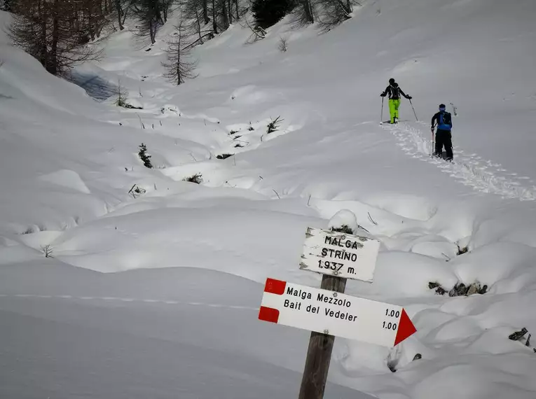 Anspruchsvolle Skitouren im Val di Sole