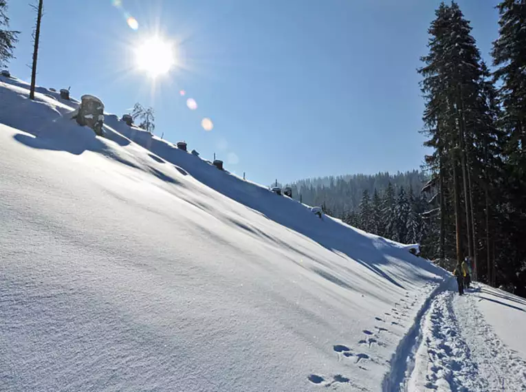 Ausbildungskurs Schneeschuhwandern