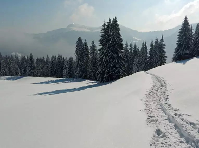 Ausbildungskurs Schneeschuhwandern