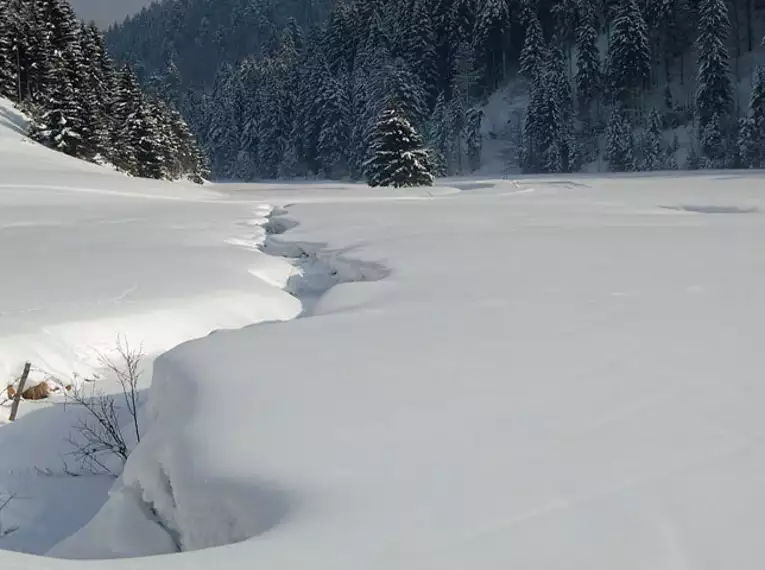 Mitteschwere Schneeschuhwoche im Allgäu