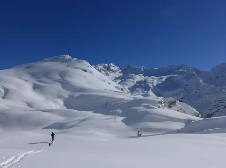 Skitouren im unbekannten Val Fiorentina