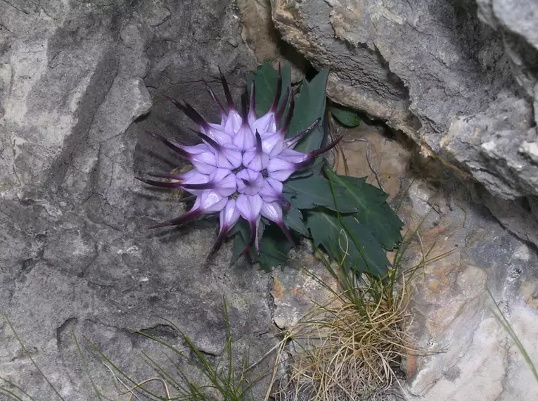 Dolomiten individuell: durch den Naturpark Fanes-Sennes-Prags