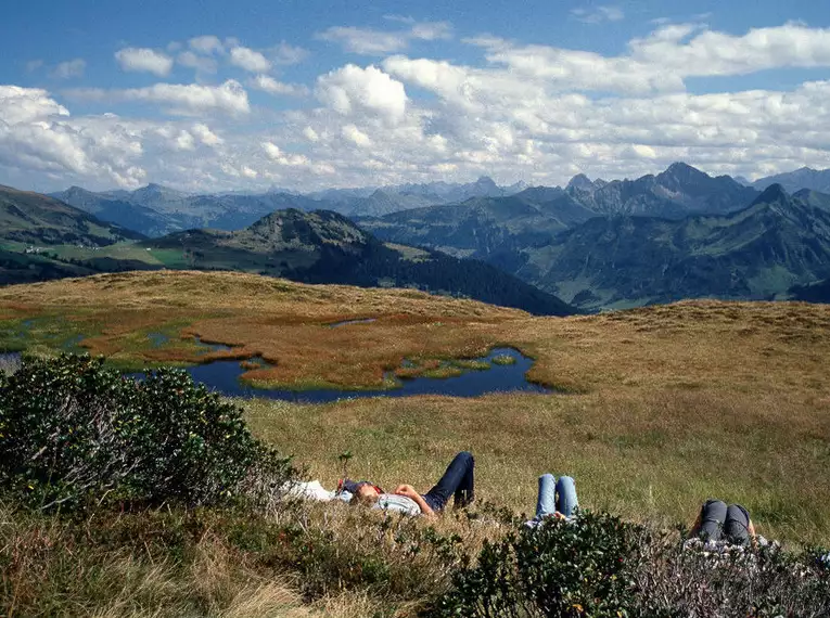 Österreich individuell - Der Käseweg