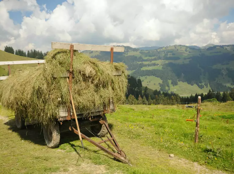 Österreich individuell - Der Käseweg