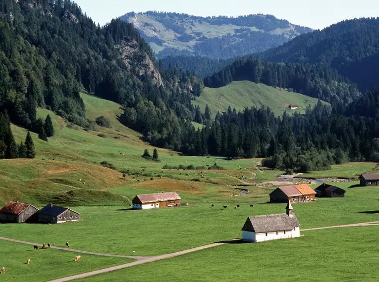 Österreich individuell - Der Käseweg