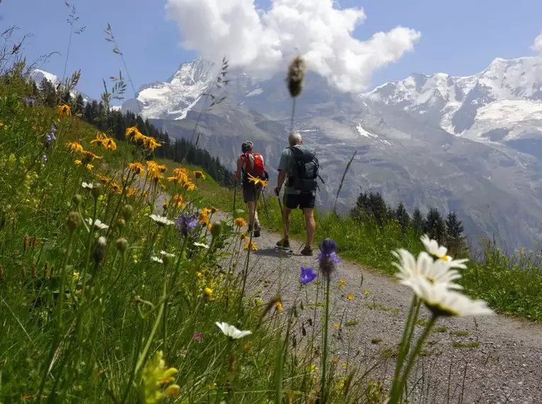 Schweiz individuell - Der Bärentrek