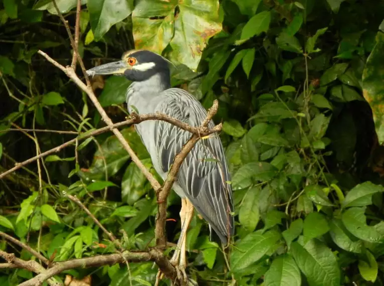 Rundreise: Costa Rica - Nicaragua - Panama