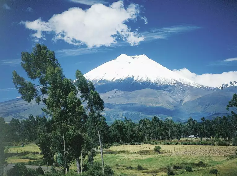 Ecuador entdecken: Von Vulkanen zum Amazonas-Regenwald, bis zu den Galápagos-Inseln