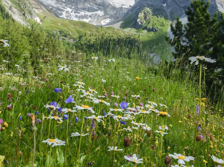 Individuelle Alpenüberquerung von Alm zu Alm