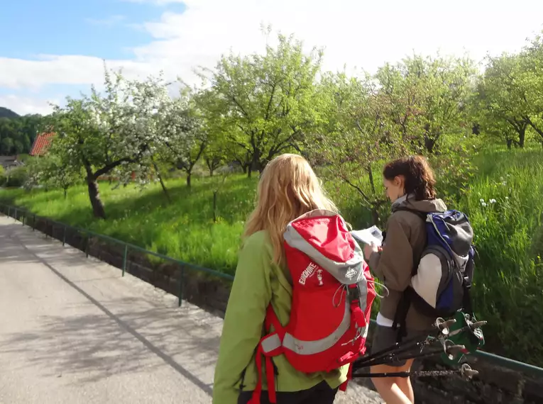 5-tägige individuelle Wanderungen Welterbesteig Wachau