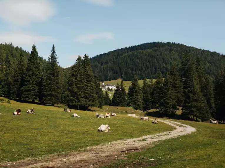 Alpenüberquerung: Von Alm zu Alm