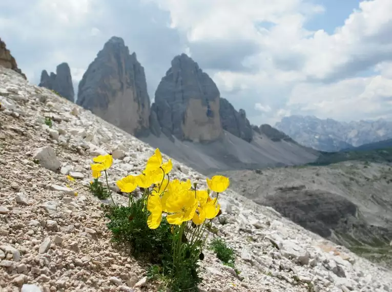 Individuelle Alpenüberquerung von Kitzbühel zu den Drei Zinnen