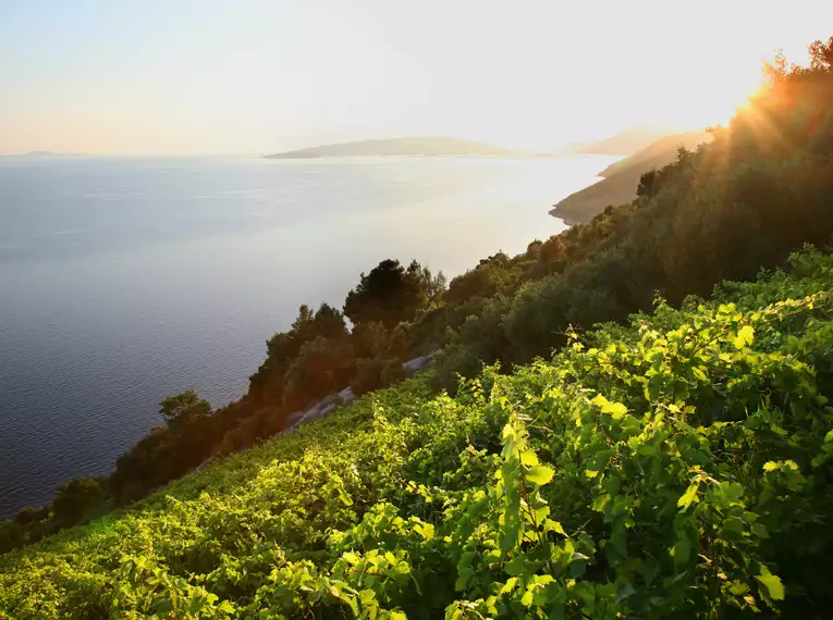 Sonnenuntergang über der dalmatinischen Küstenlandschaft, Meer und Berge im Hintergrund.