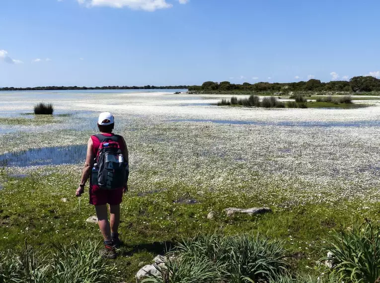 Sardiniens Zauber: Auf den Spuren der Hirtenpfade