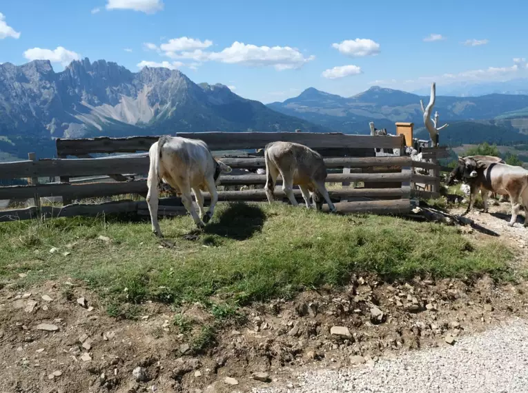 Wanderwoche Rosengarten