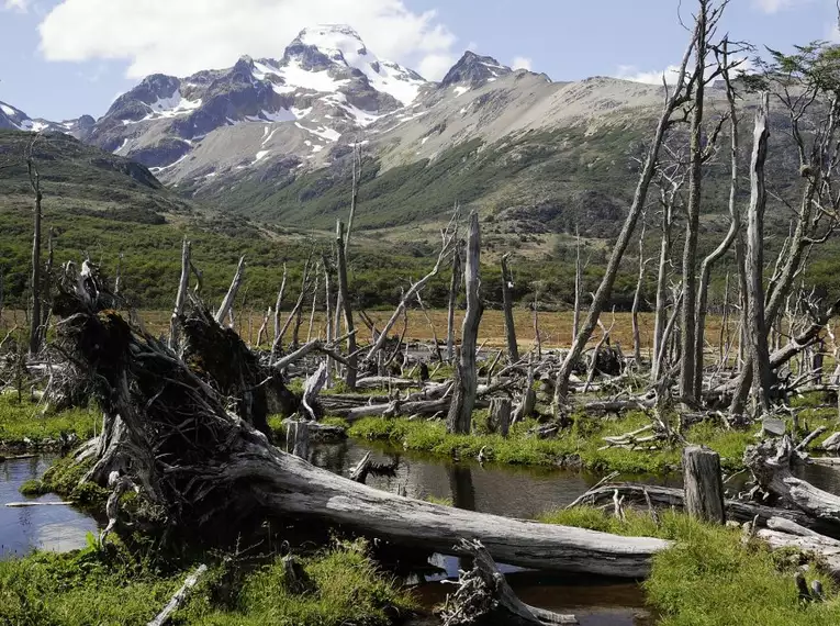 Patagonien erkunden: Faszinierende Abenteuer in Chile und Argentinien