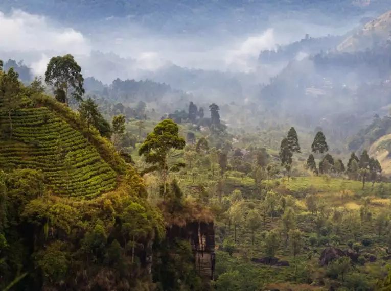 Magisches Sri Lanka - Eine Reise durch Geschichte, Natur und Kultur