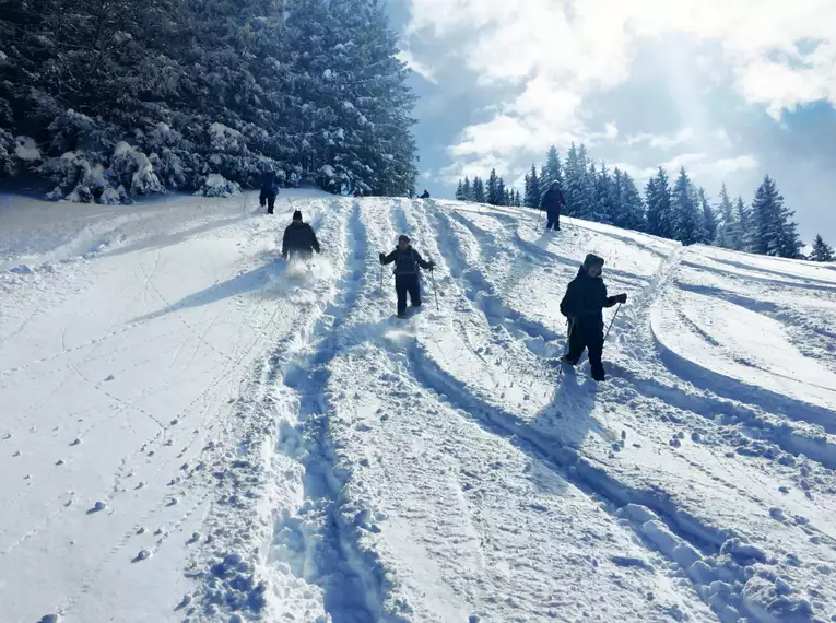 Schneeschuhtouren durch das einsame Rohrmoostal