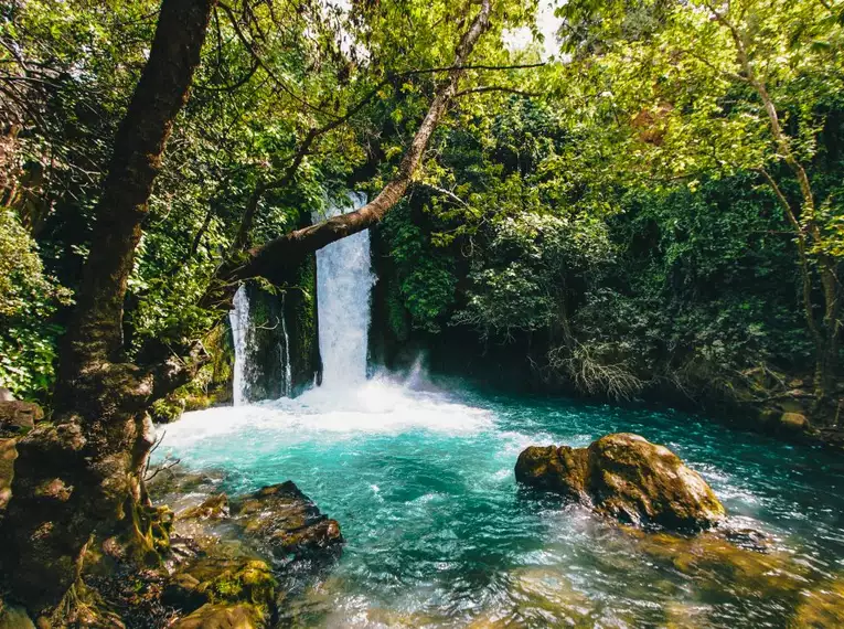 Israel für Einsteiger - Eine Reise durch Geschichte, Natur und Kultur