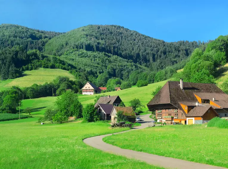 Vom Schwarzwald zum Bodensee - individuelle Trekkingwoche