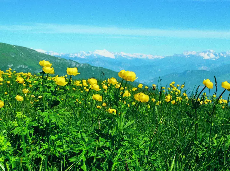 Alpenüberquerung am Romediusweg von Innsbruck ins Südtiroler Passeiertal