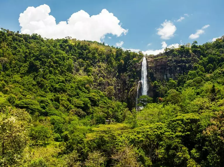 Silvester in Sri Lanka