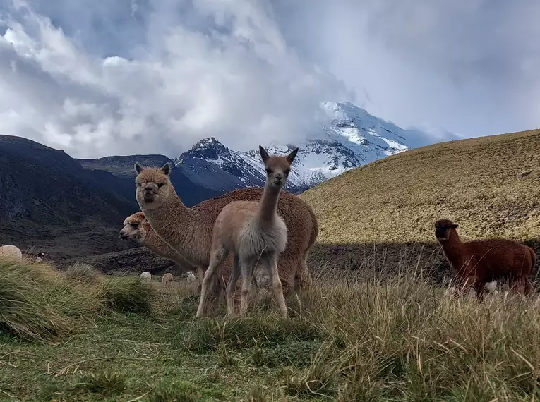 Ecuador auf verborgenen Wegen entdecken