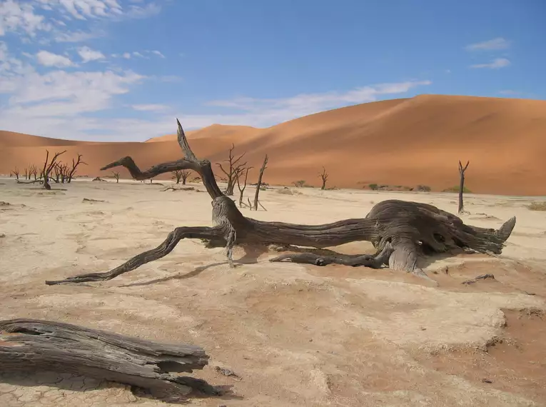 Silvester in Namibia