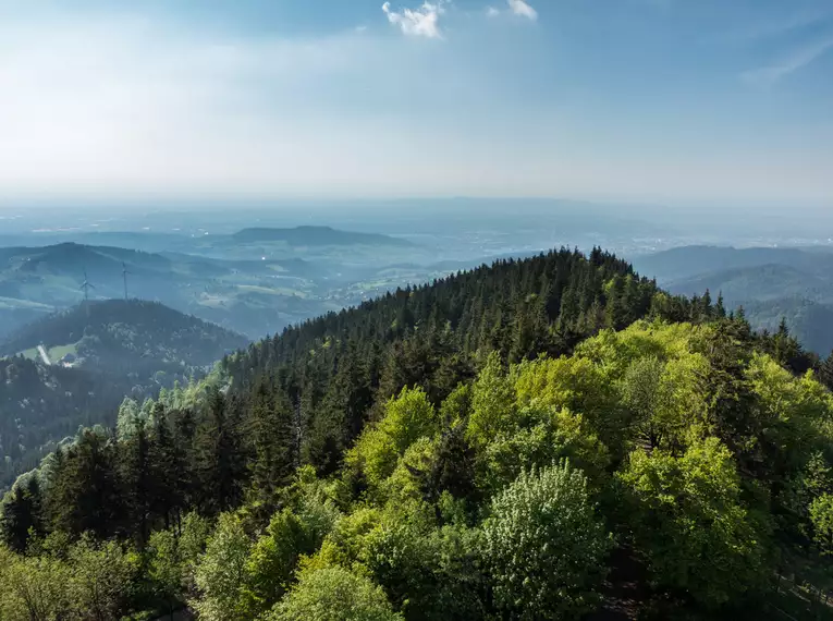 Vom Schwarzwald zum Bodensee - individuelle Trekkingwoche