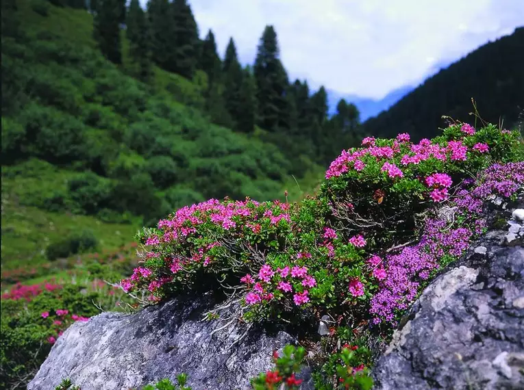 Individuelle Alpenüberquerung vom Tegernsee nach Kitzbühel