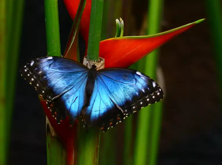 Costa Rica naturnah erwandern