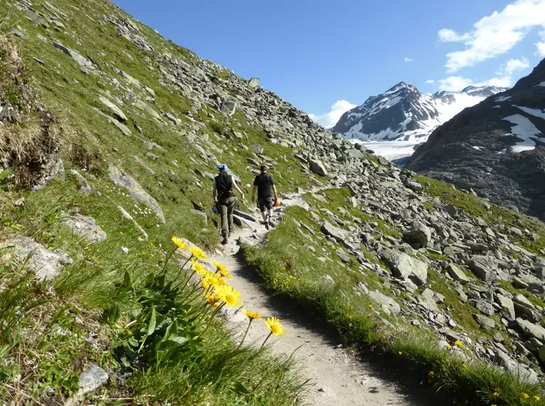 Hochtouren-Transalp für Könner