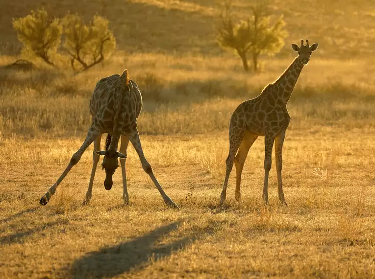 Namibia komfortabel erwandern