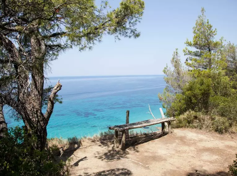 Holzbank mit Blick auf das türkisfarbene Mittelmeer und umgebende Pinien.