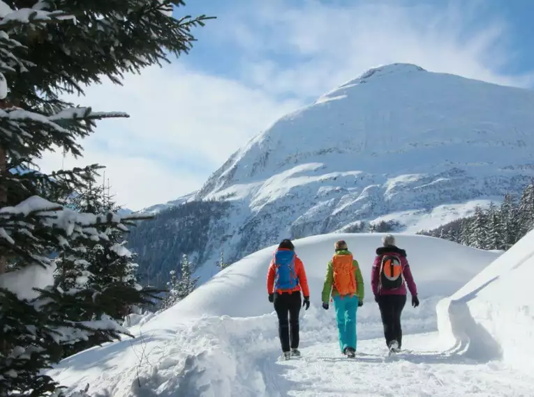 Schneeschuh- und Winterwandern entlang des Lech 