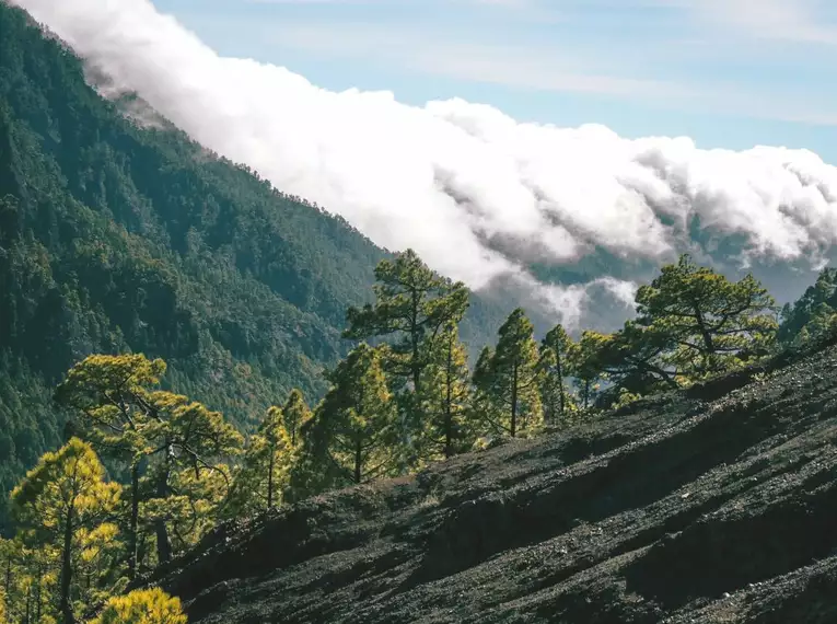 La Palma über Silvester