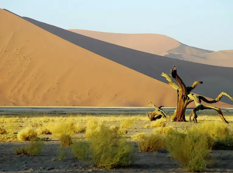 Namibias Naturwunder: Farbenpracht und grenzenlose Weite