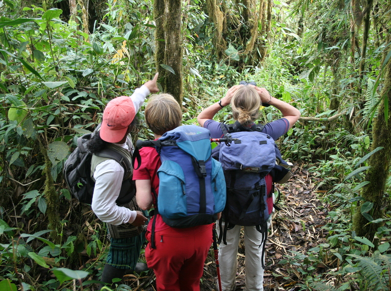 Ecuador auf verborgenen Wegen entdecken