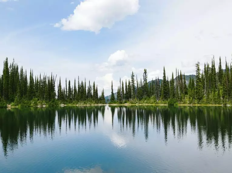 Ein ruhiger See mit Fichten und Bergen im Hintergrund in den Rocky Mountains.