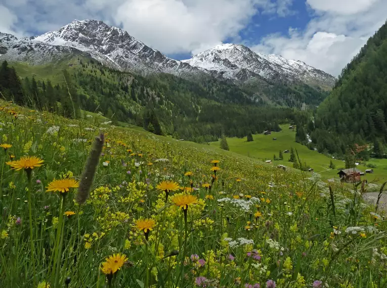 Vom Watzmann zu den Drei Zinnen