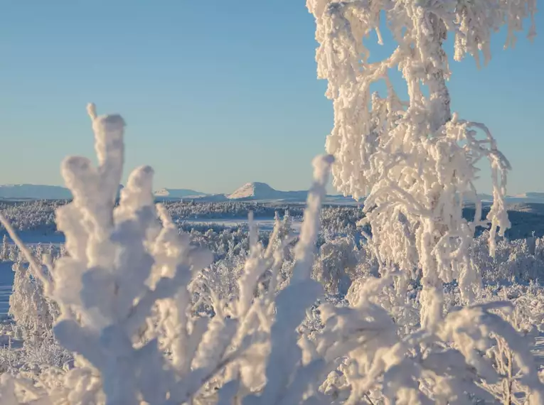 Silvester in den Bergen Norwegens