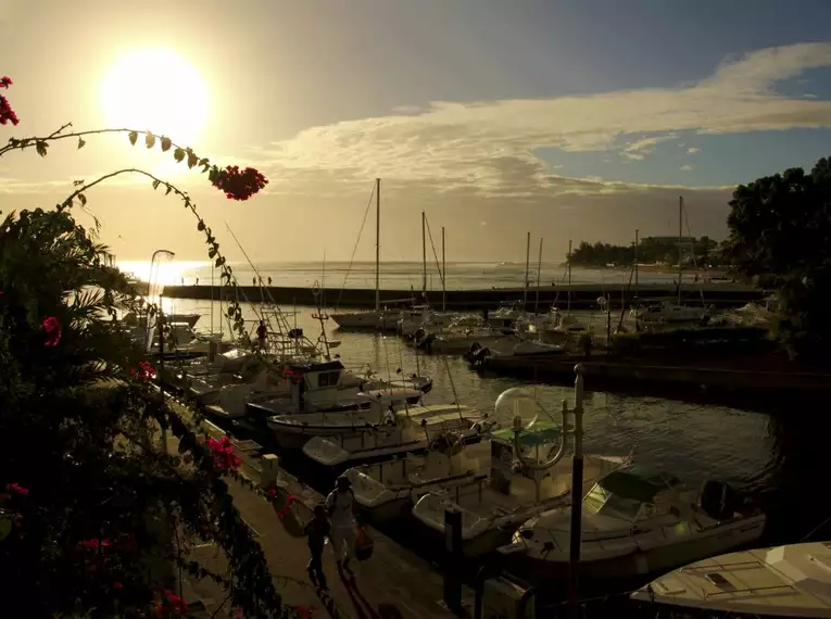 La Réunion: Eine Insel der Kontraste und kulinarischen Genüsse