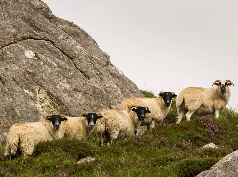 Schottland - Die Äußeren Hebriden erwandern